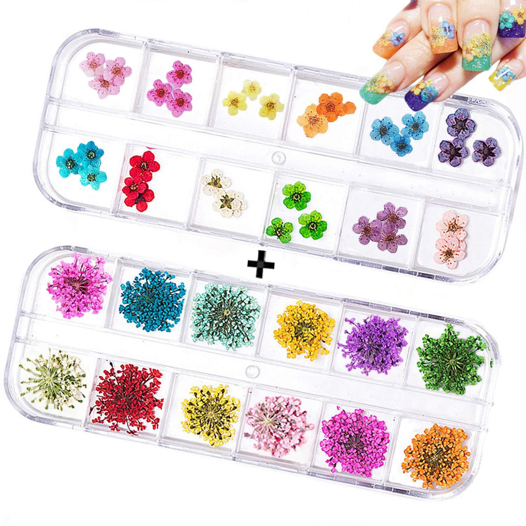 60PCS Nail Dried Flowers - 24 Colors 3D Dry Flowers Nail Art Stickers Decoration Mini Real Natural Nail Supplies Tips Manicure Decor Mixed Accessories(24PCS Starry and 36PCS Five Flower) - BeesActive Australia