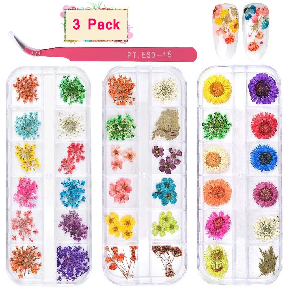 3 Boxes Dried Flowers for Nail Art, KISSBUTY 36 Colors Dry Flowers Mini Real Natural Flowers Nail Art Supplies 3D Applique Nail Decoration Sticker for Tips Manicure Decor (Flowers Gypsophila Daisy) - BeesActive Australia