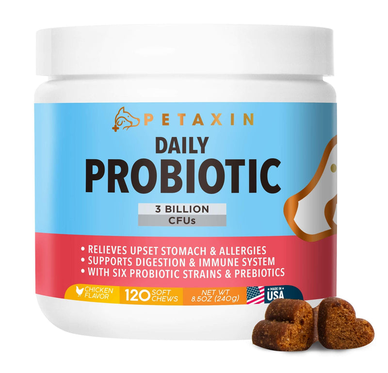Petaxin Probiotics for Dogs - 6 Strains with Prebiotics - Supports Digestive and Immune System – Relief for Diarrhea, Bad Breath, Allergies, Gas, Constipation, Hot Spots - Made in USA - 120 Chews 1 Pack_120 Chews - BeesActive Australia