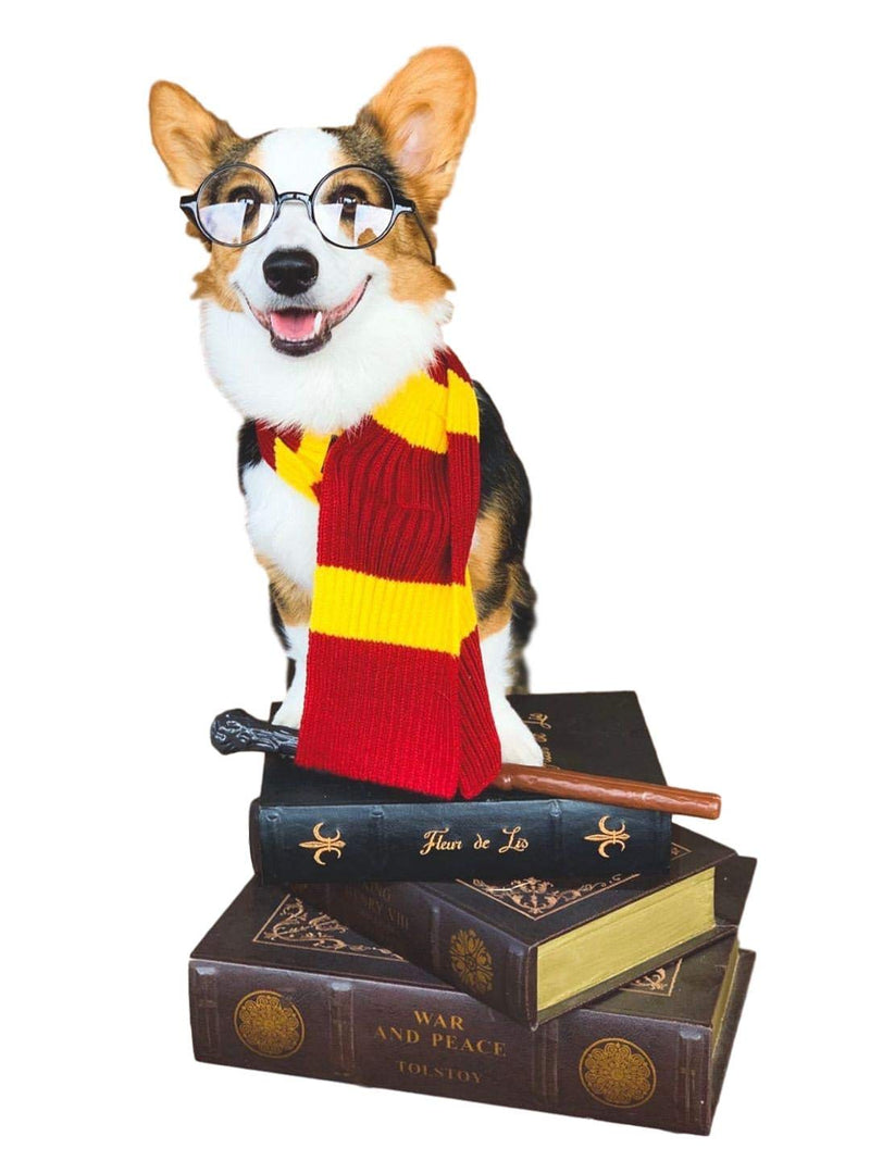 ComfyCamper Red and Yellow Striped Scarf for Dog Costumes, Clothes for Dogs Pets and Cats Large - BeesActive Australia
