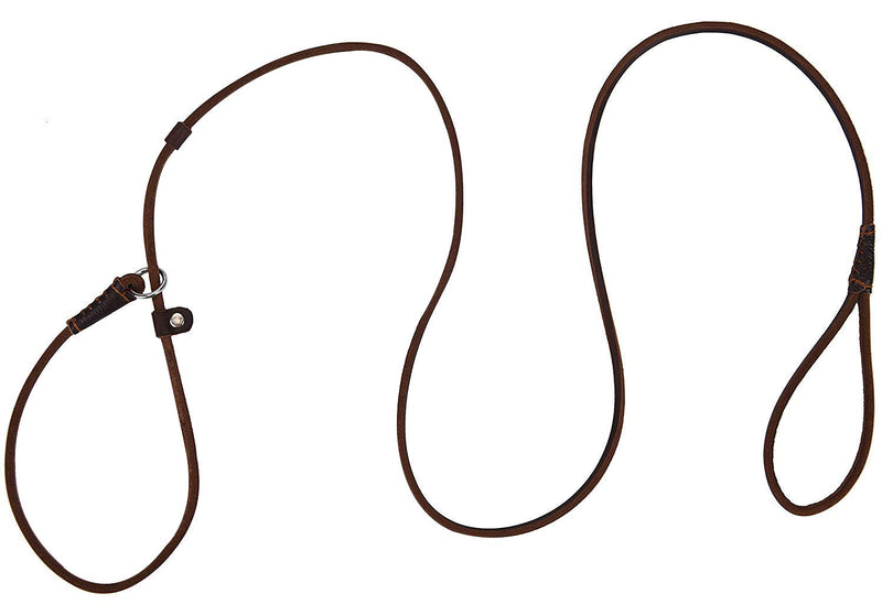 Real Leather Slip Dog Leash for Small Medium Large Dogs Puppies Lightweight Thin but Sturdy Adjustable Slip Lead Dog Leash Soft and Slim 5 ft x 1/5 inch Small( 5 ft x 1/5 inch) - BeesActive Australia