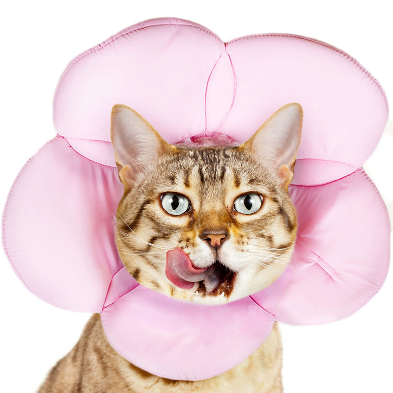 SunGrow Cat Recovery Soft Cone, Fits 10” Neck, Flower-Shape, Pink, Adjustable Loop Type Fasteners - BeesActive Australia