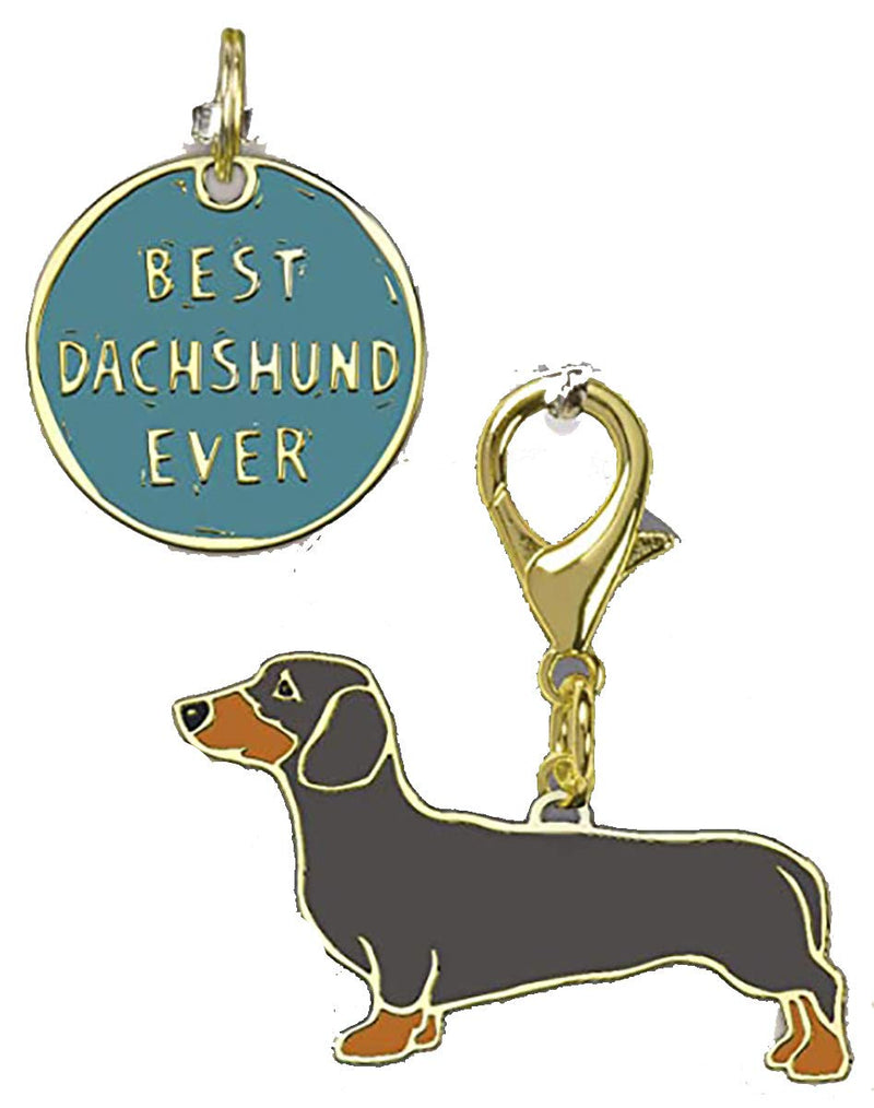 Primitives by Kathy Dog Collar Charm Set - Dachshund - BeesActive Australia