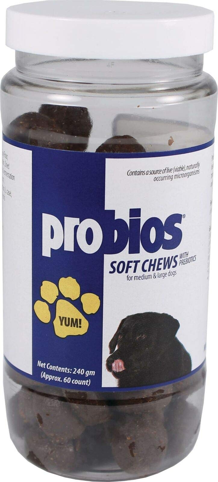 Canine Probios D-Probios Soft Chews Med-Large Dogs 240 Gram (60ct) - BeesActive Australia