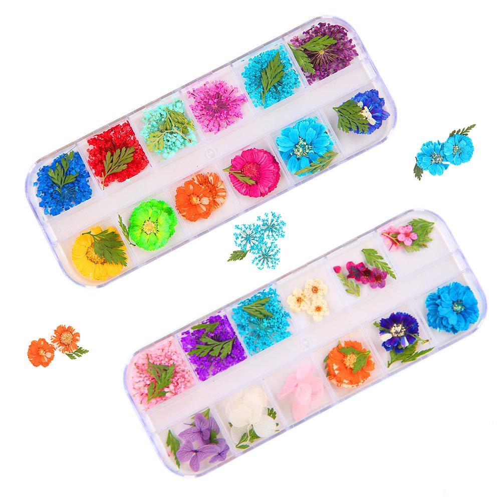 3D Dried Flowers for Nail Art Designs 24 Colors Nail Art Supply Flowers Real Dry Flower Applique Stickers for Manicure Wraps Decor Fingernails and Toenails Decorations Starry Sky Leaf Floral Decals - BeesActive Australia