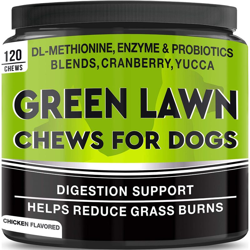 GOODGROWLIES Grass Restore Treats - Dog Urine Neutralizer for Lawn - Natural Grass Treatment for Dog Urine - Dog Pee Lawn Repair - Grass Burn Spot Chews - DL-Methionine - Healthy Bladder - 120 Ct Chicken 120 chews - BeesActive Australia