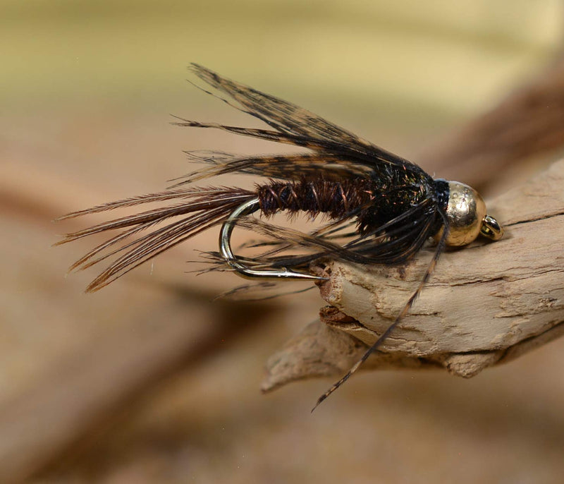 Region Fishing Pheasant Tail Nymph Fly - Soft Hackle Tied on Mustad Signature Fly Hooks - 1 Doz Hook #12 - BeesActive Australia