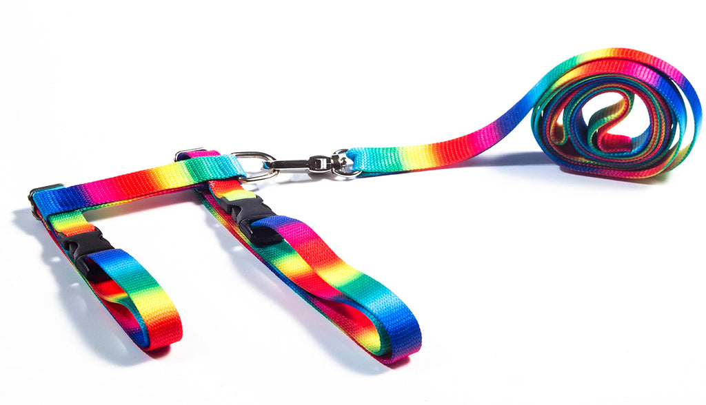 FABATY Cat Harness and Leash Set, Cats Escape Proof - Adjustable Kitten Harness for Large Small Cats and Puppies Lightweight Soft Walking Travel Petsafe Harness Rainbow - BeesActive Australia