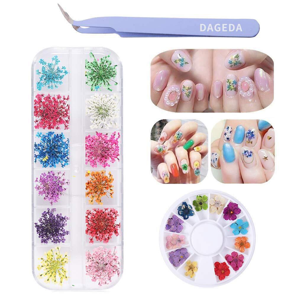 DAGEDA 2 Packs 3D Nail Art Accessories Dried Flowers, 24 Different Colorful Life Nail Flower Stickers for DIY Crafts Nails Decorations（Gypsophila Sun Flower Daffodil） 2 pack+1 curved tweezers - BeesActive Australia
