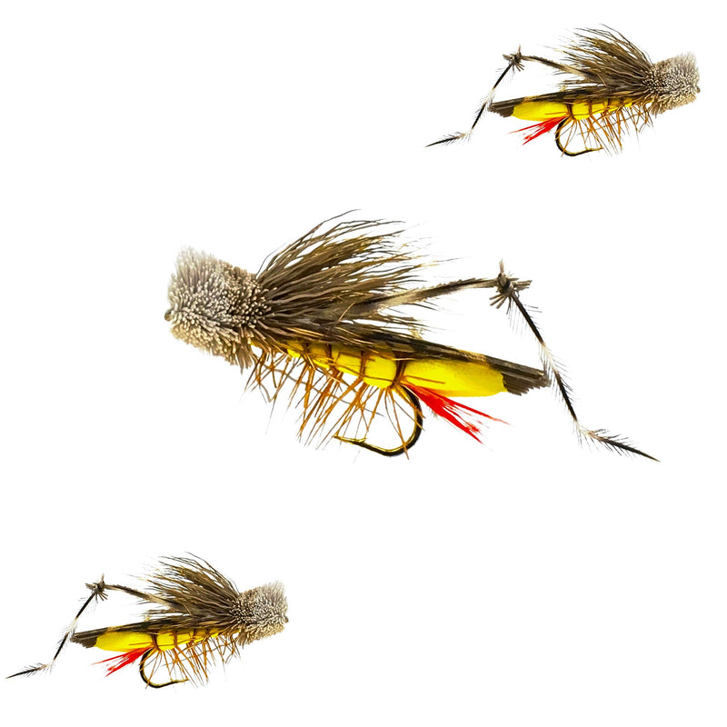 Thor Outdoor Dave's Hopper - 3 Pc Topwater Fly Fishing Set - Dry Flies for Bass, Panfish, Trout - Hook Size 10 - BeesActive Australia