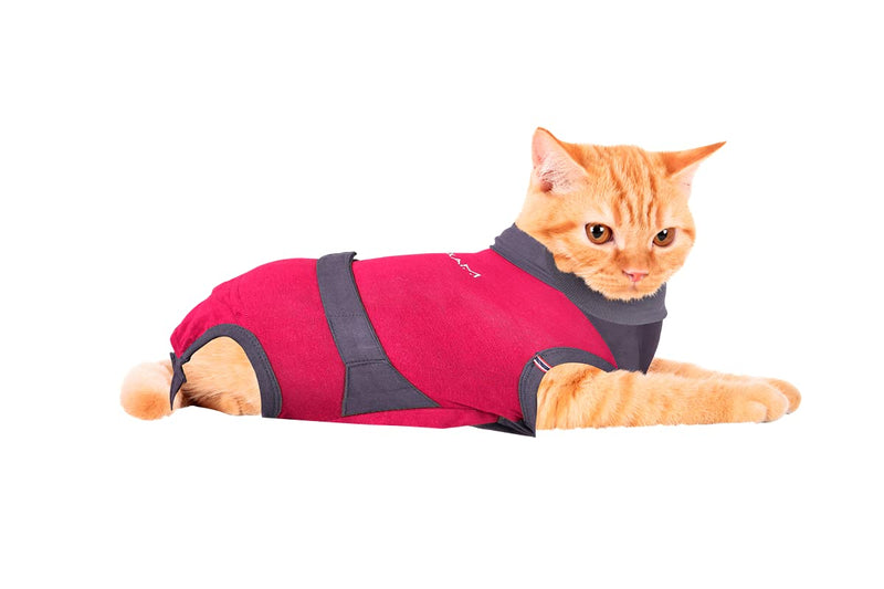 MAXX CAT E Collar Alternative Medical Pet Clothing Recovery Suit for Cats After Surgery Wear Wound Bandage Protection Anti Anxiety Body Wrap XS Red with Grey - BeesActive Australia