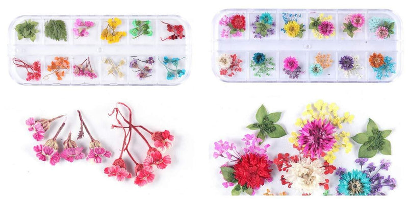 XICHEN 78PCS/2 Boxes Dried Flowers for Nail Art - 3D Dry Flowers Nail Art Stickers Decoration Natural Nail Supplies (Sun Flower/Gypsophila/Valerian Flower/Green Leaf) - BeesActive Australia