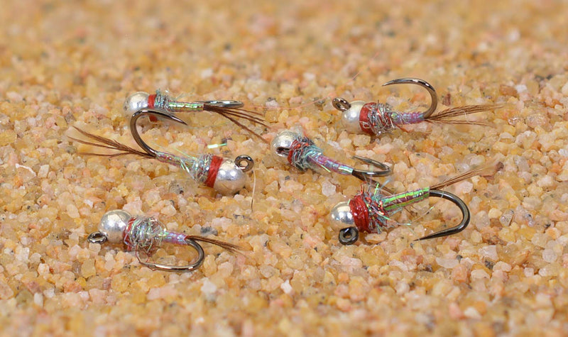 Region Fishing Tungsten Bead Rainbow Warrior Jig Fly - Euro Nymph - Hanak Hooks - 6ct Pack Hook #16 - BeesActive Australia