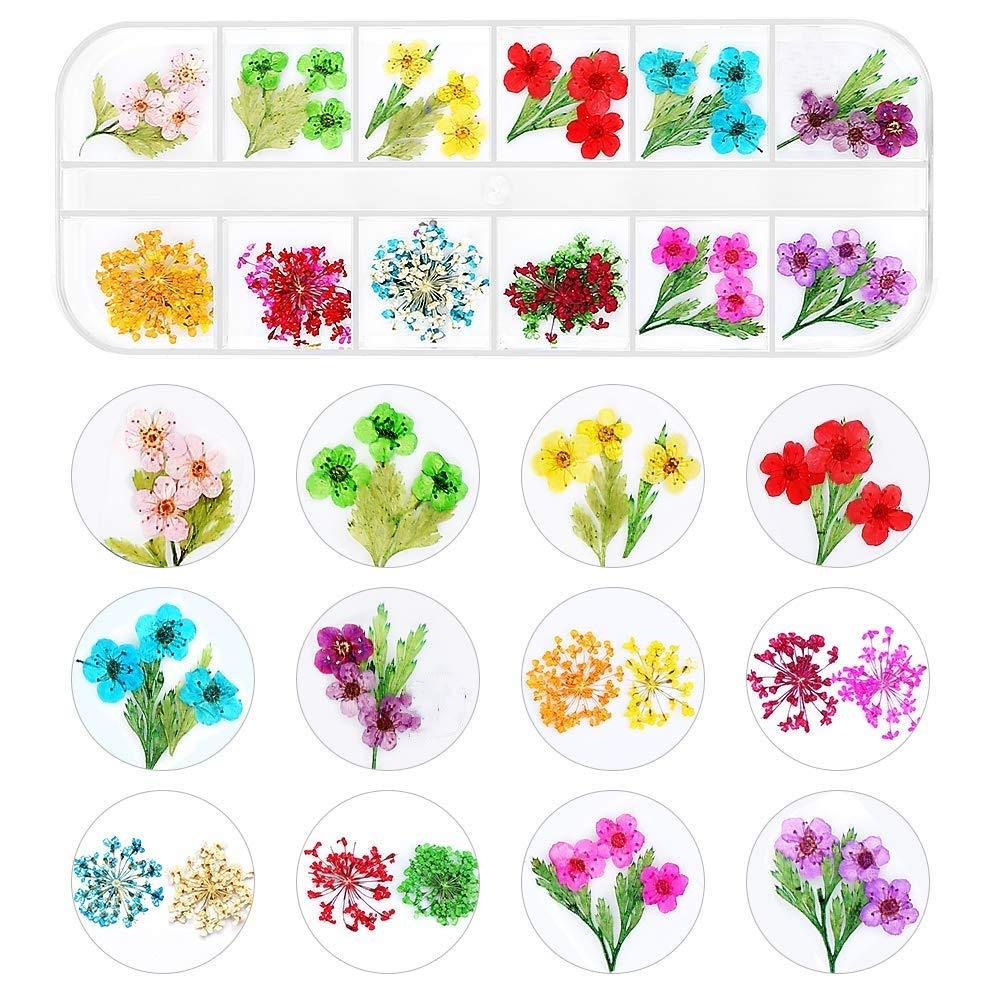 Valuu Nail Art Dried Flowers Sticker Decals Natural Real Dry Flower Petal Leaf Nail Art Decoration Fashionable 3D Nail Stickers for DIY Nail Salon Nail Design - BeesActive Australia