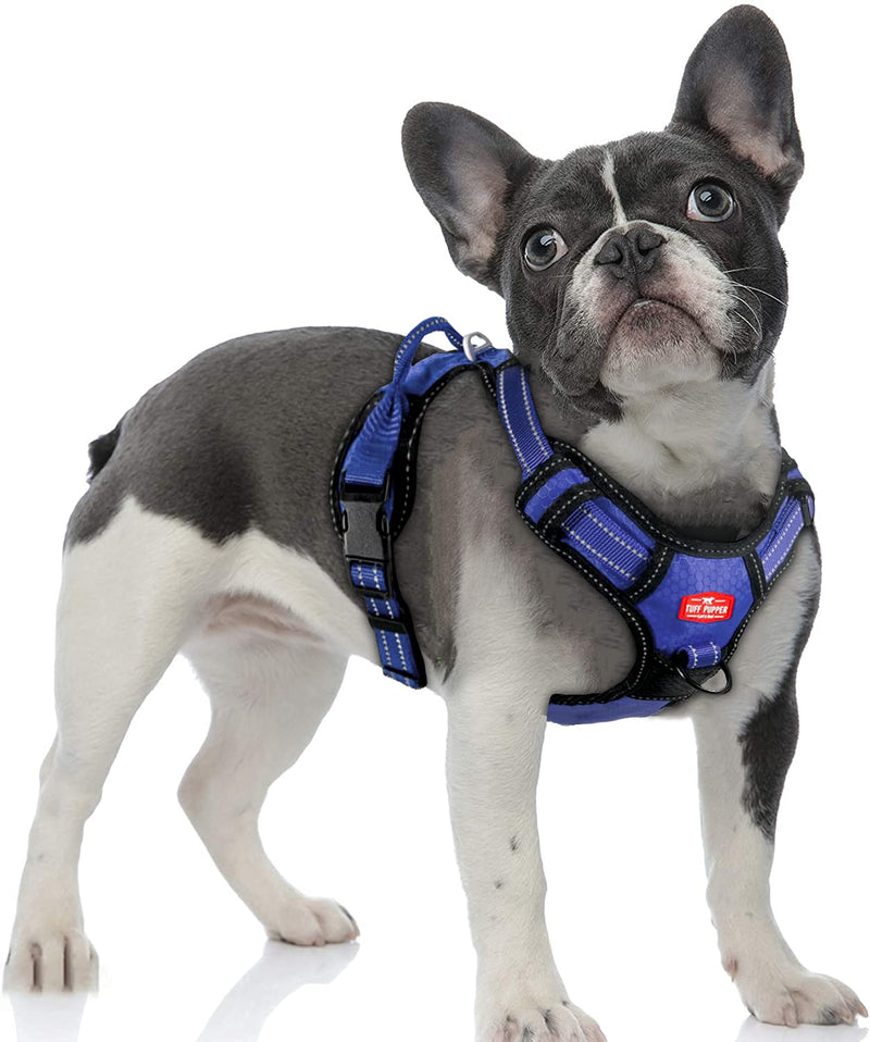 Tuff Pupper No Pull Dog Harness | Front/Back Leash Clips | Safety Handle | Reflective Dog Harness | Waterproof Shell | Padded Training Dog Harness for Comfort | Adjustable Small Medium Extra Large Dog Medium (Neck: 15-24" , Chest: 19-26") Midnight Blue - BeesActive Australia