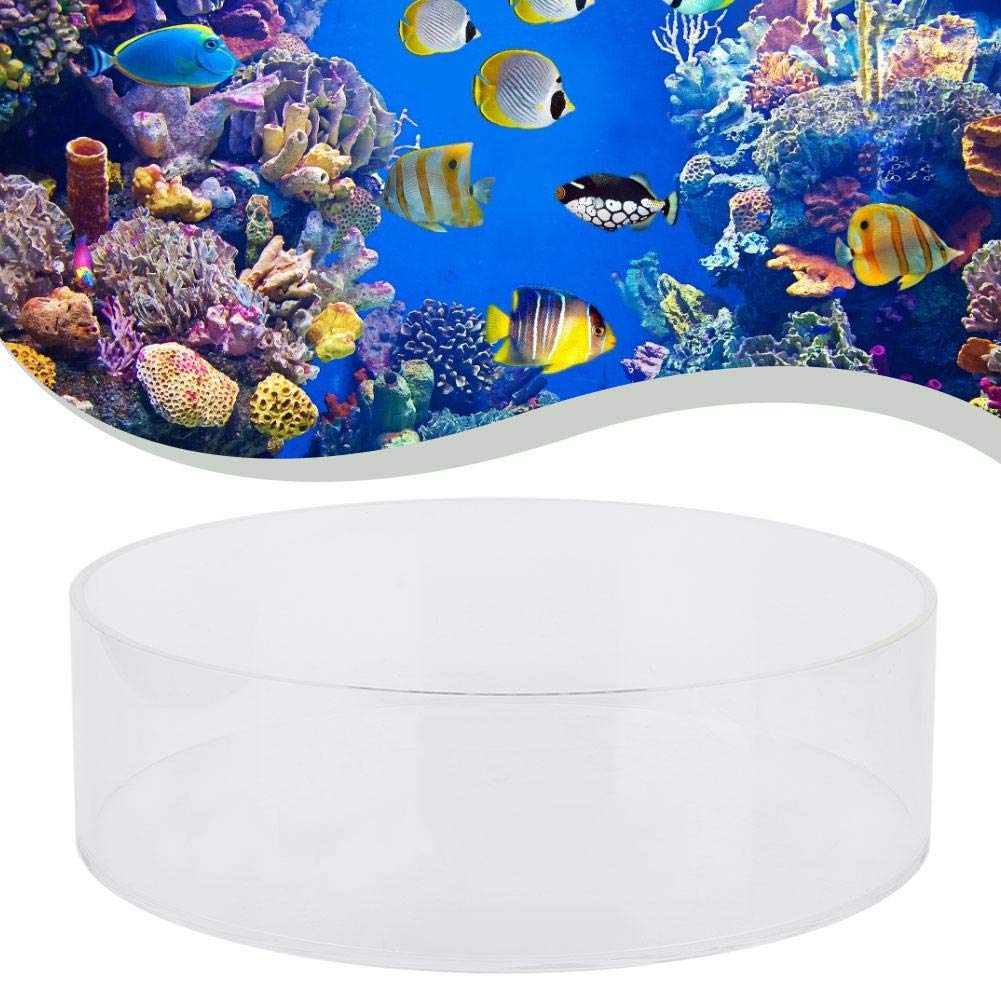 Yencoly Coral Viewer Fish Tank Acrylic,Fish Tank Acrylic Coral Observe Lense Aquarium Fish Photograph Cylinder Magnifier Coral Observe Lense (200mm) 200mm - BeesActive Australia