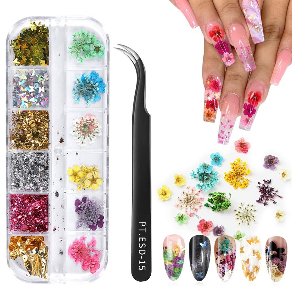 Nail Art Dried Flowers & Glitter Butterfly Nail Sequins & Chrome Nail Foil Pieces 3D Nail Art Decoration Kit for Women Acrylic Manicure DIY Craft - BeesActive Australia