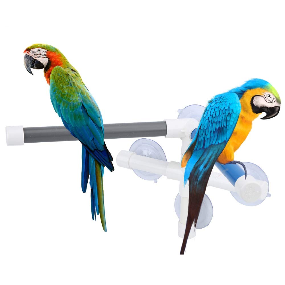 Unibell Bird Parrot Stand Shower Standing Toy Portable Suction Cup Parrot Bath Stands Suppllies Holder Platform Parakeet Window Wall Hanging Play for Parrot Macaw - BeesActive Australia