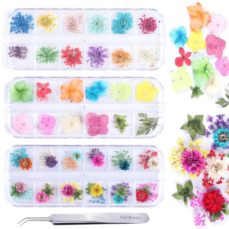 78 Pcs Dried Flowers Nail Art, 3 Boxes of Mini Real Natural Nail Decals 3D Nail Beauty DIY Stickers Used for Nail Salon Design Manicure Decoration Supplies Dry Flower Kit with a Curved Tweezers - BeesActive Australia