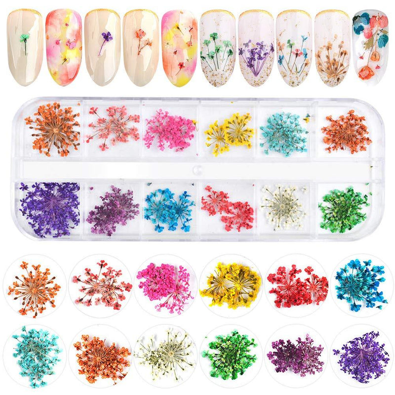 EBANKU 12 Colors 3D Dried Flowers Nail Art Decals, Colorful Dried Gypsophila Flowers Nail Art Stickers Decoration, 3D Nail Decoration for Valentine's Day UV Gel/Acrylic Nail Design - BeesActive Australia