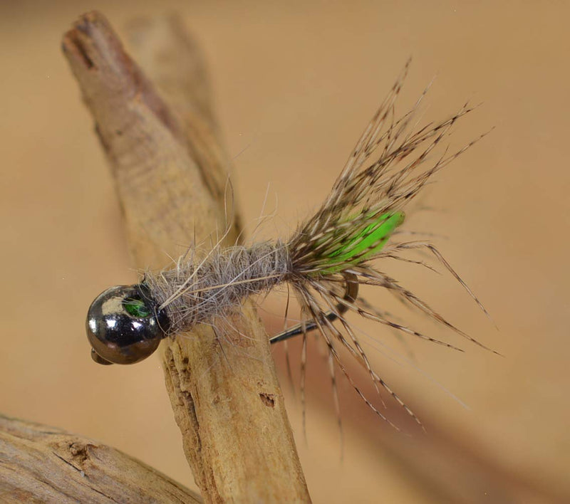Region Fishing Tungsten Bead Peeping Caddis Jig Fly - Euro Nymph Flies - Hanak Hooks 6ct Hook #12 - BeesActive Australia