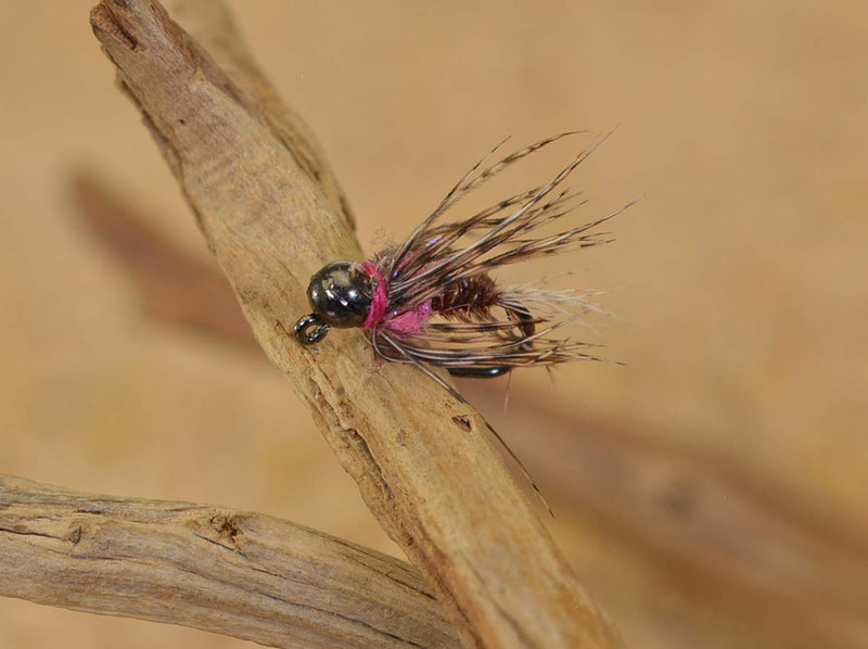 Tungsten Bead Frenchie Jig Fly - Euro Nymph Flies - Hanak Hooks 6ct Hook #14 - BeesActive Australia