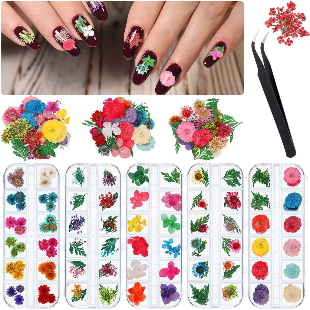 5 Boxes Nail Dried Flowers 3D Dried Natural Flower Nail Decoration Stickers Gypsophila Leaves Manicure Decor Mixed Accessories with Tweezer for Nail Decoration Supplies - BeesActive Australia