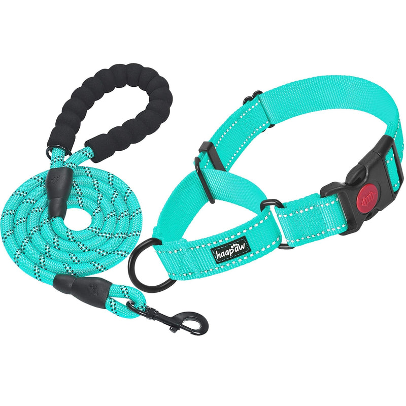 haapaw 2 Packs Martingale Dog Collar with Quick Release Buckle Reflective Dog Training Collars for Small Medium Large Dogs Medium (Pack of 1) Turquoise, Collar+Leash - BeesActive Australia