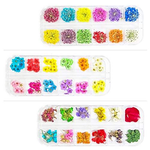 336 Pcs/ 3Boxes NOLASLIAN Real Dried Flowers Nail Art for Acrylic Nails Colorful Natural Flowers and Green Leaves Nail Art Accessories 3D Nail Decoration for DIY UV Gel Acrylic Nail Design Nail Decals - BeesActive Australia