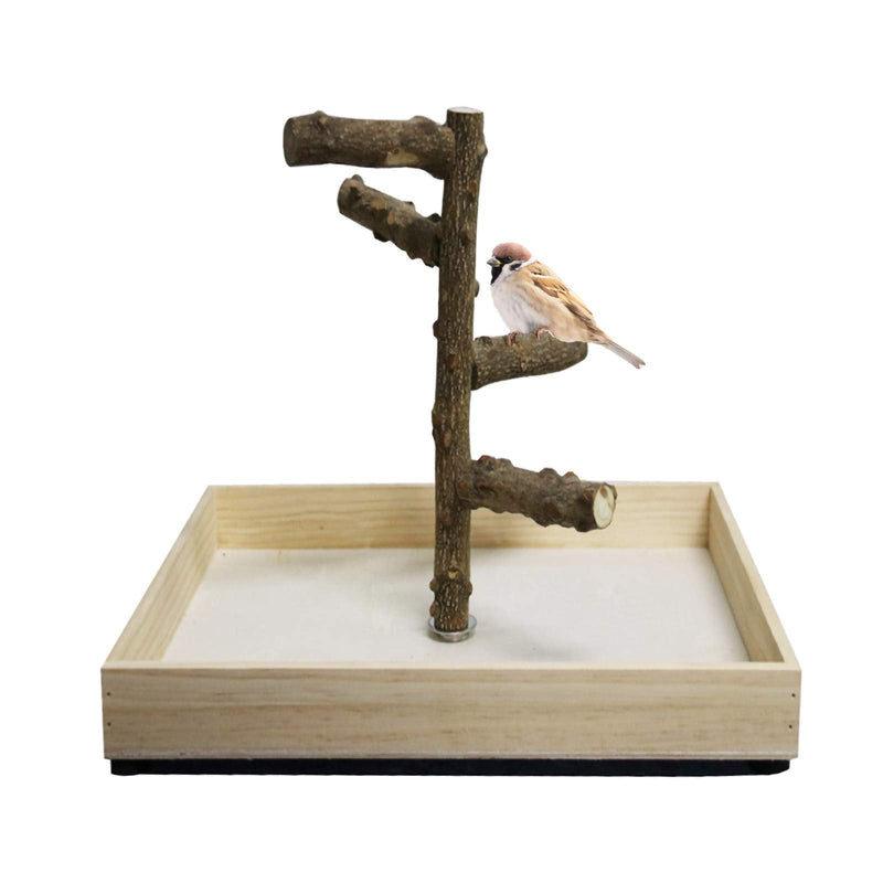 Hamiledyi Bird Perch Stand Tabletop,Parrot Playground Bird Gym Natural Wooden Perch PlayStand Platform for Parrots Parakeets Canaries Cockatiels Conure Lovebirds - BeesActive Australia