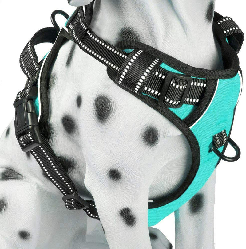 PoyPet No Pull Dog Harness, Reflective Vest Harness with 2 Leash Attachments and Easy Control Handle for Small Medium Large Dog Mint Blue - BeesActive Australia