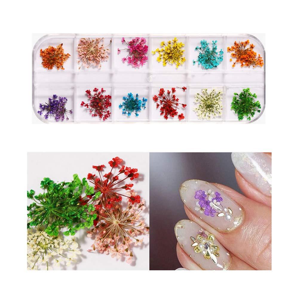 Dried Flowers, Dried Flowers for Nail Art, 3D Nail Art Sticker/Decals, Real Natural Small Pressed Dried Flowers with Starry, Leaves, Five Flower, and Maple Leaf Used for Nail Art (A Style) A style - BeesActive Australia