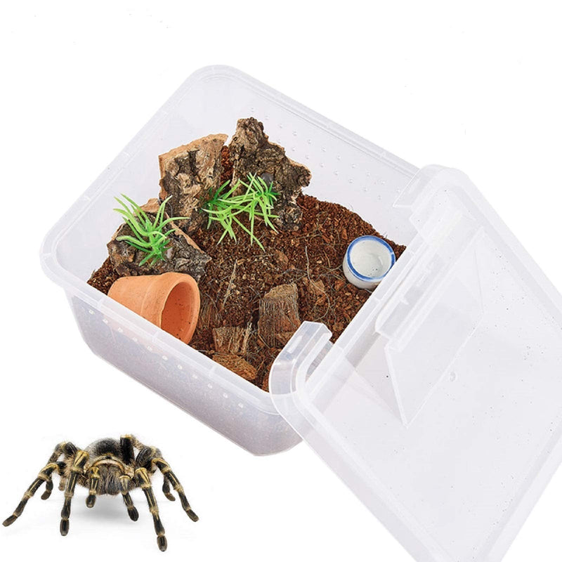 PETLAOO Critter Keeper，Mini Insect Carrier, Portable, Ventilated, Enough Viewing Space, with 5 Accessories, Suitable for Spiders, Geckos, Cockroaches, Snails, Hermit Crabs Flowerpot - BeesActive Australia