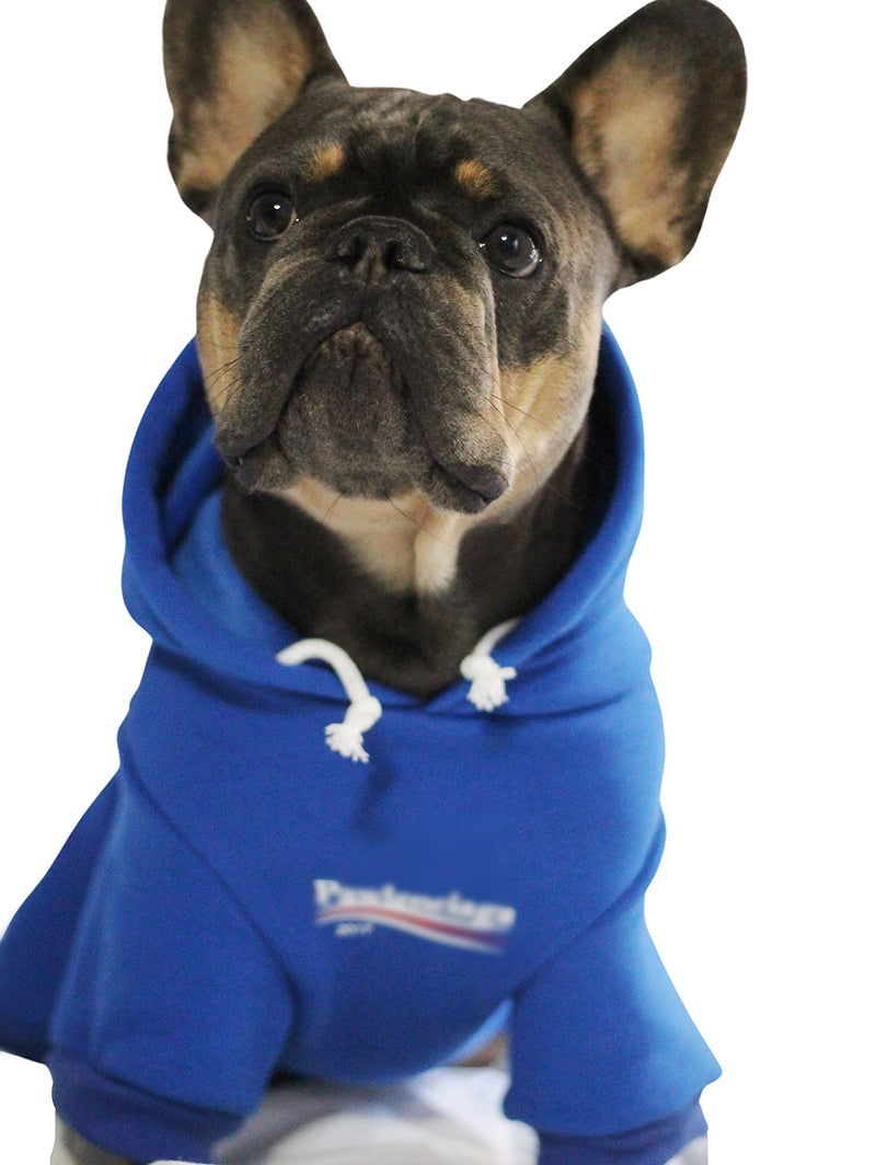 ChoChoCho Dog Hoodie Pet Clothing, Cats Hoodies, Stylish Streetwear Blue Dog Sweatshirt Tracksuits, Dog Outfit for Dog Cat Puppy Small Medium 2XL (24-33 LBS) - BeesActive Australia