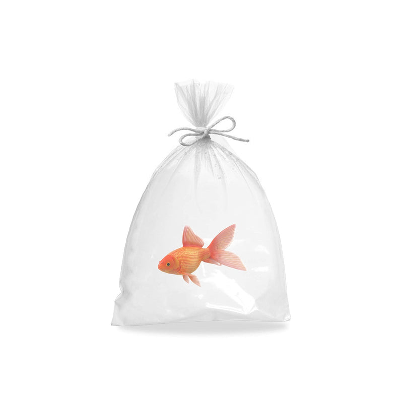 AMZ Aquarium Plastic Fish Bags, Clear Polyethylene Bags, Fish Packing Proofing Bags 6" x 12" / 50 Pack - BeesActive Australia