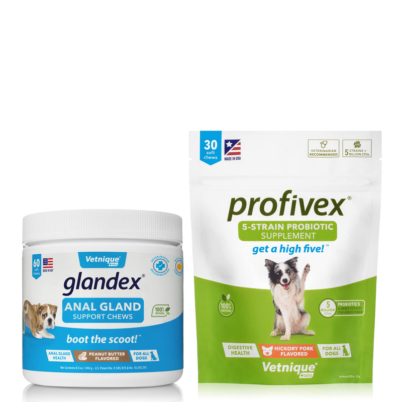 Glandex Anal Gland Support 60ct Peanut Butter Fiber Supplement with Profivex 30ct Pet Probiotic Soft Chews Bundle - BeesActive Australia