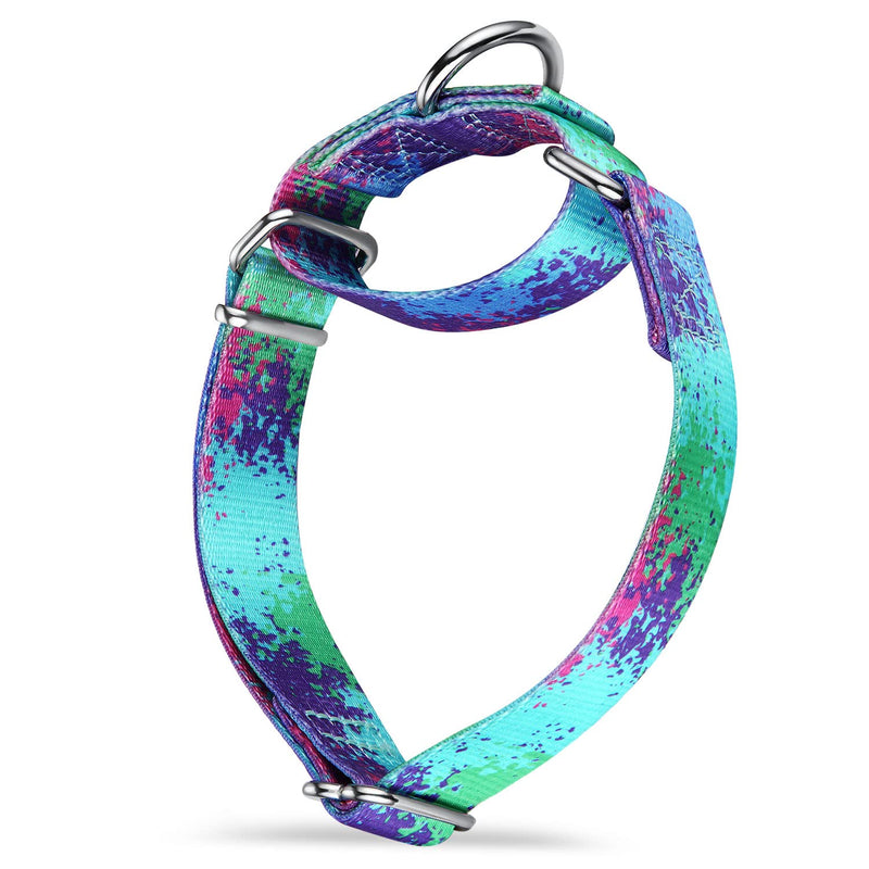 Dazzber Martingale Dog Collars Colourful Oil Painting Pattern Series - No Pull Pet Collar Silky Soft for Medium and Large Dogs Large, 1 Inch Wide Ecology Oasis - BeesActive Australia