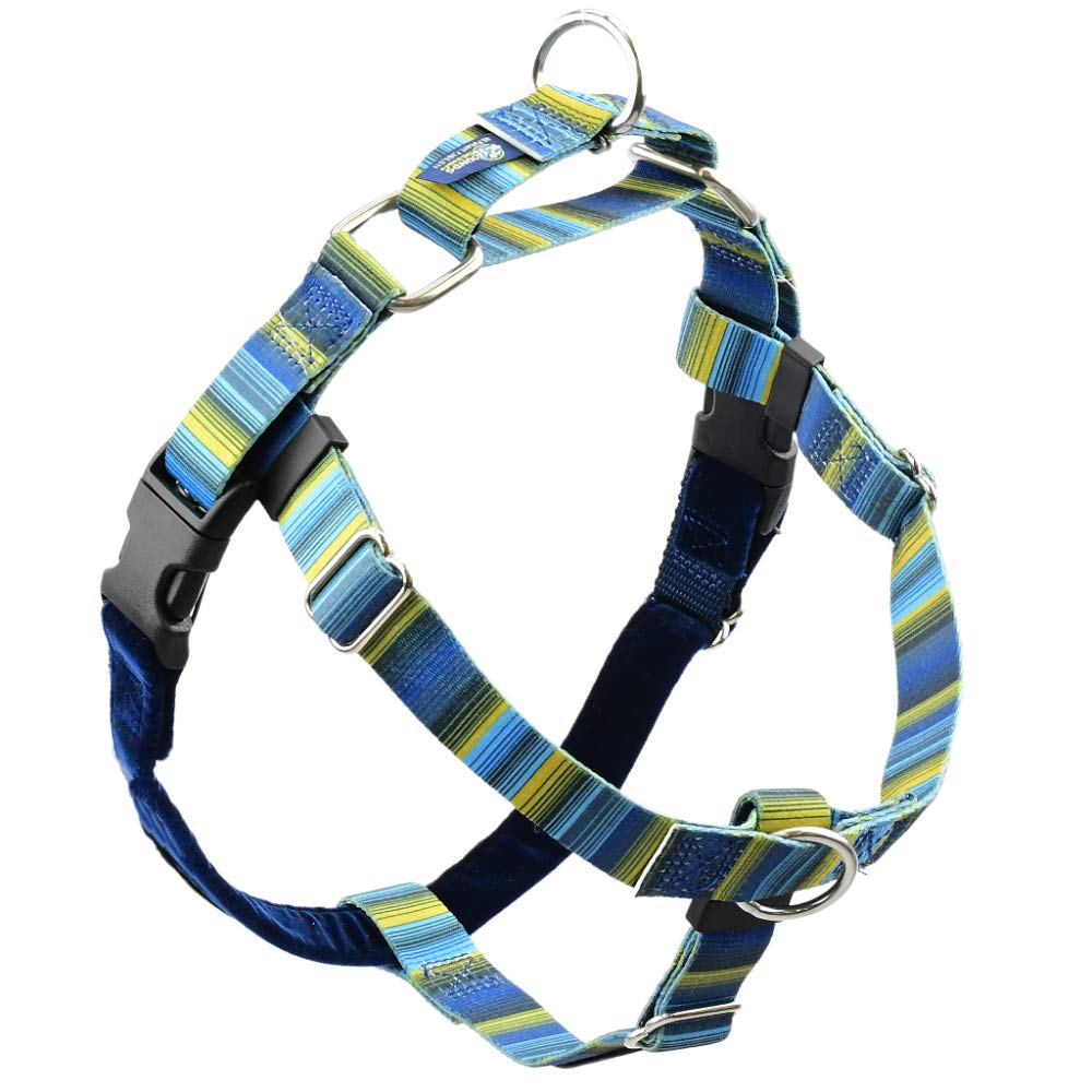 2 Hounds Design Freedom No Pull Dog Harness | Adjustable Gentle Comfortable Control for Easy Dog Walking |for Small Medium and Large Dogs | EarthStyle Designs | Made in USA 5/8" Wide Small (18"-24") Clyde - BeesActive Australia