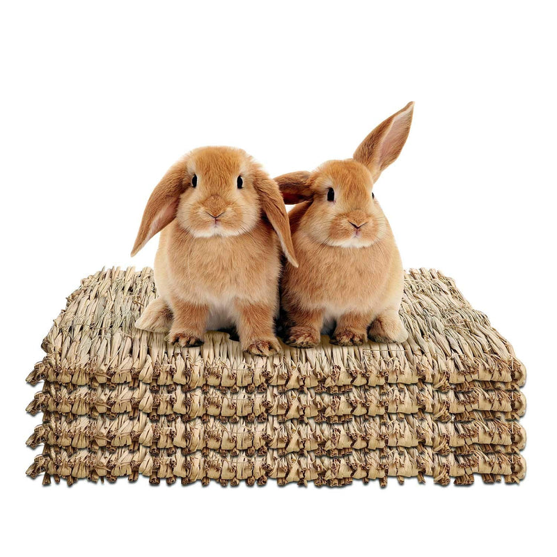 WUHOSTAM 4 Pack Grass Mat for Rabbits Natural Hay Woven Bed Mat for Sleeping, Chewing, Nesting, Play Toy Mats for Guinea Pig Parrot Rabbit Bunny Hamster Rat 11.8 x 15.7 Inche-Straw - BeesActive Australia