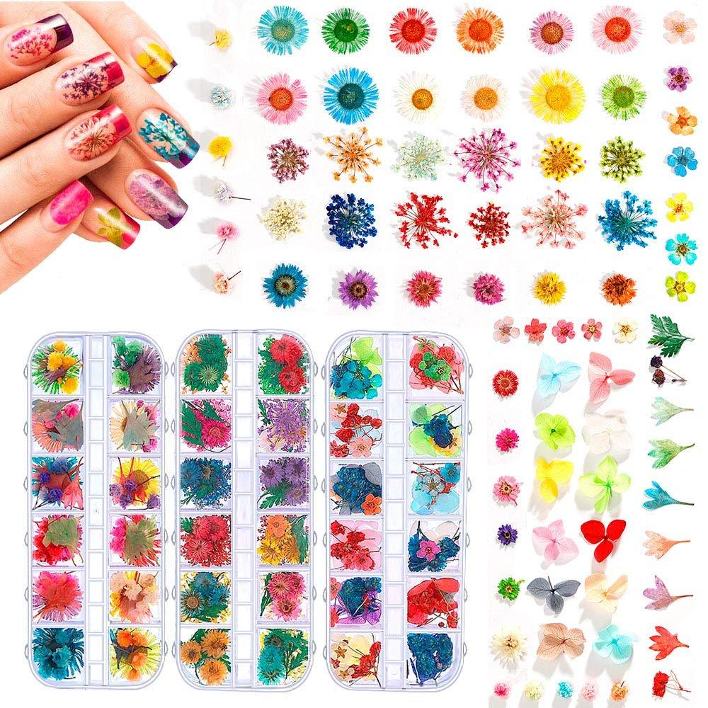 324PCS Dried Flowers Nail Art - Nail Art Accessories Kits, 81 Color Lovely Natural Nail Art, Dried Flowers for Resin Molds, YWLI - BeesActive Australia