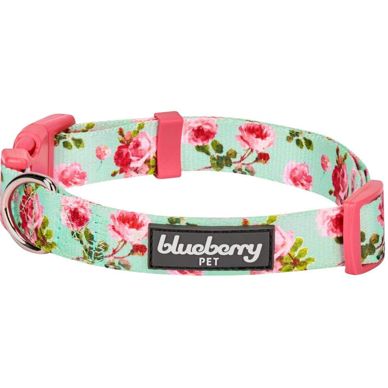 Blueberry Pet 10+ Patterns Spring Scent Floral Dog Collars, Personalized Collars X-Small Turquoise - BeesActive Australia