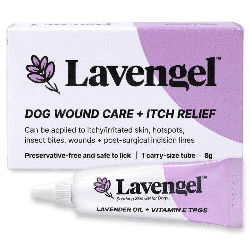 Lavengel Dog Skin Care Gel - Highly Concentrated Antimicrobial Ointment Relieves Itchy Skin and Heals Wounds Naturally, First-Aid for Skin Irritations, Hotspots, Sores, and Acne, We Support Rescues - BeesActive Australia