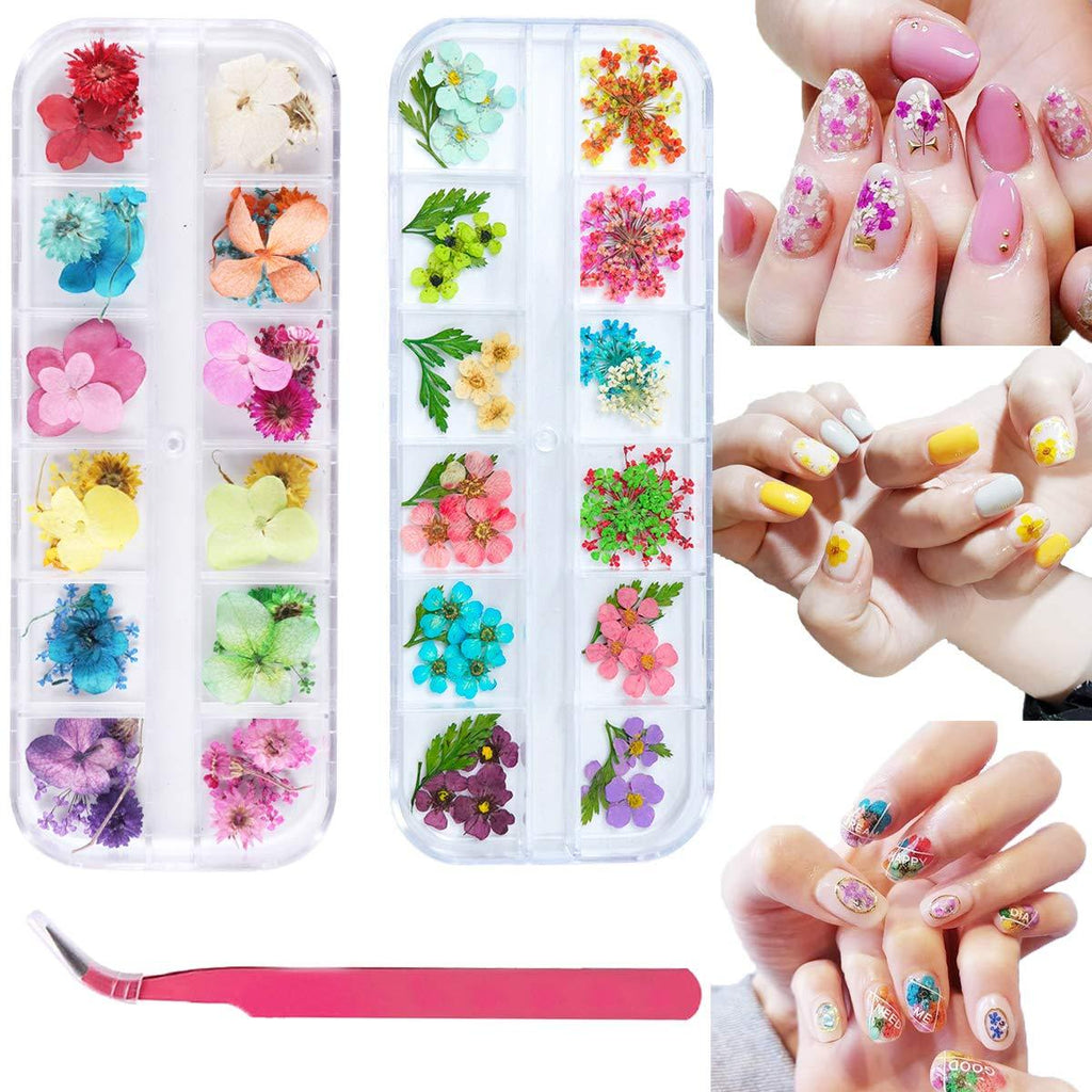 KAYMAY 2 Boxes Dried Flowers for Nail Art - 65 Colors Dried Natural Flowers Nail Decoration Sticker, with a tweezer for Tips Manicure Decor - BeesActive Australia