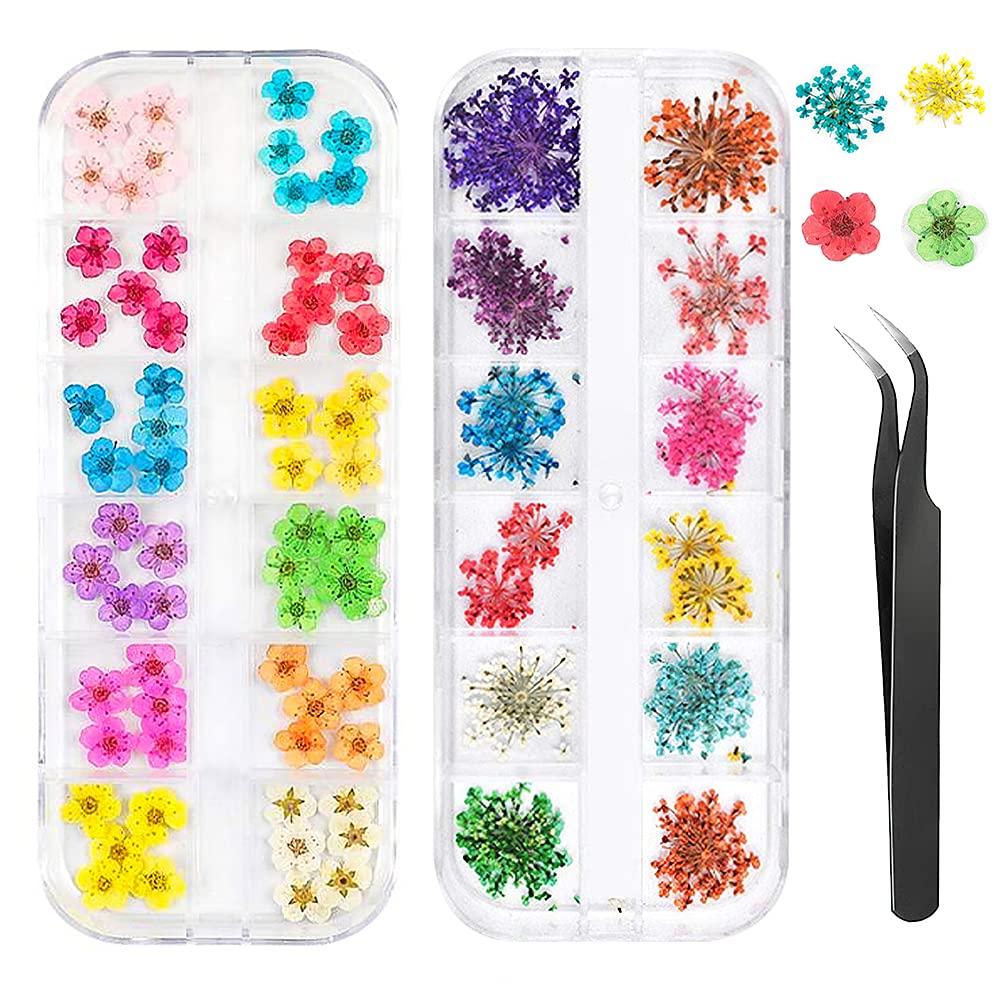 3D Nail Dried Flowers Sticker Set with Tweezers, CHANGAR Real Dried Flowers for Nail Art & Resin Craft DIY Five Petal Flower Leaf Gypsophila Dry Flower Nail Art Decoration Kits(2 Boxes) - BeesActive Australia