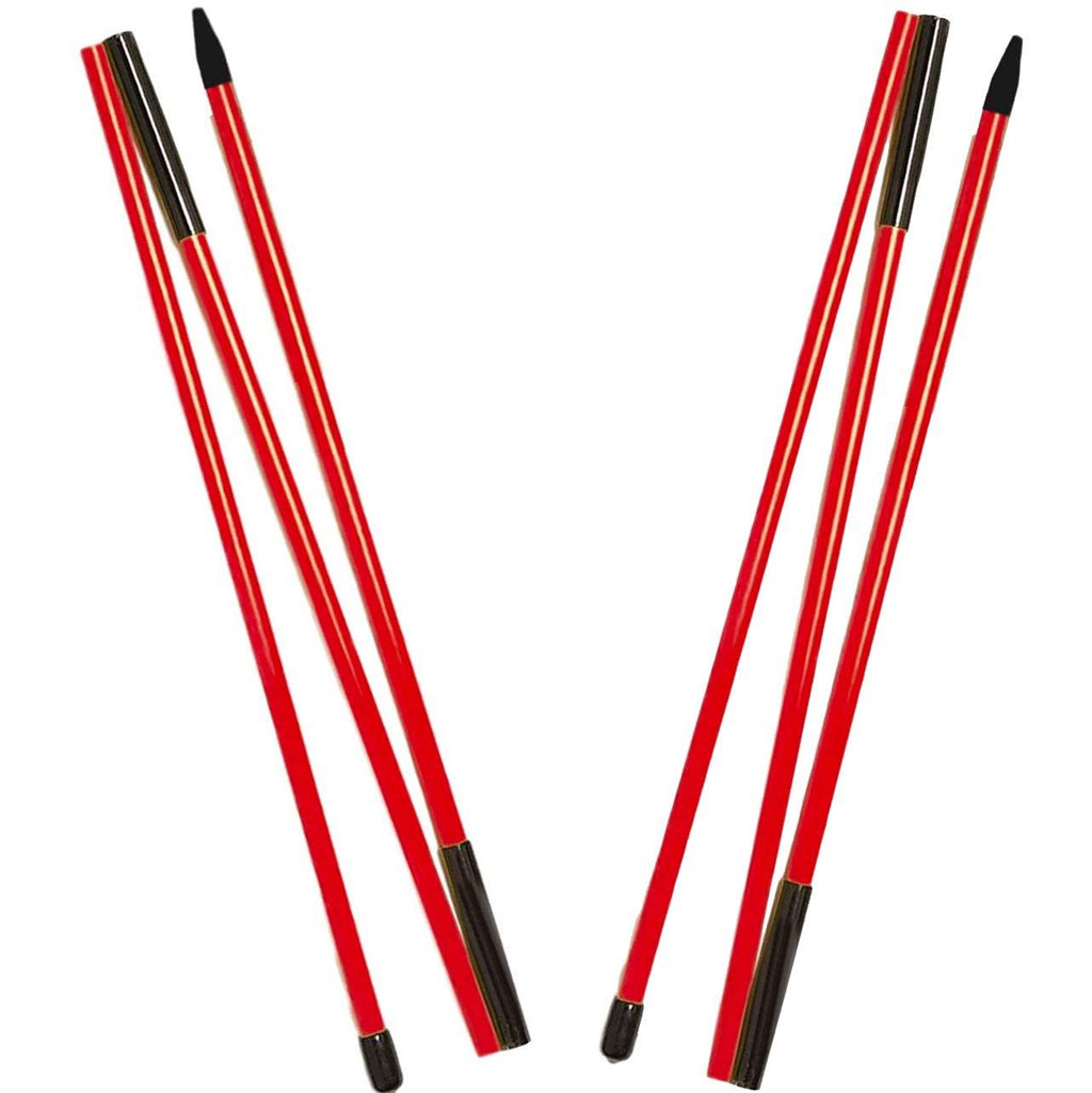 Golf Alignment Sticks by Shaun Webb (Pack of 2) Collapsible Golf Practice Rods to Set up Your Body, Balls and Club in Perfect Alignment. Posture Corrector with Clear Tube Case - Golf Gifts for Men - BeesActive Australia