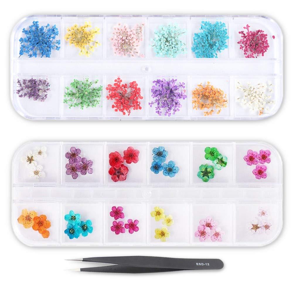 24 Color Dried Flowers for Nail Art, 2 Boxes Dry Flowers Nail Stickers Colorful Natural Real Flower Mixed Nail Decals 3D Applique Nail Decoration Sticker Small Tiny Dried Flowers Gypsophila - BeesActive Australia