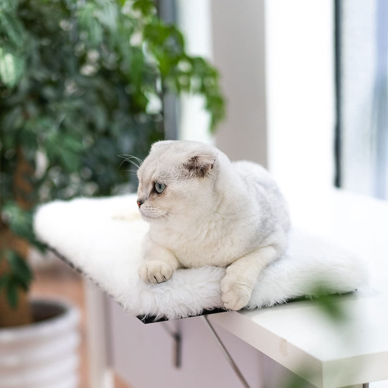 Topmart Window Sill Cat Perch,Kitty Sill,Cat Window Perch for Large Cats,Cat Window Seat,Cat Shelf for Window Sill,Window Cat Bed,Pet Window Perch Shelf - BeesActive Australia