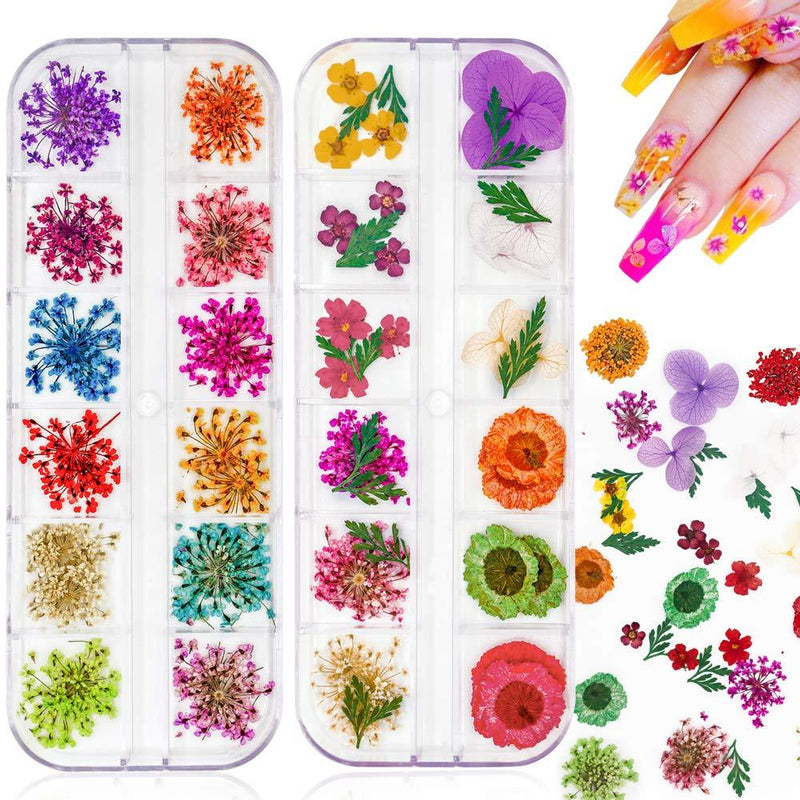 JOYJULY 2 Boxes Dry Flowers for Nails, 24 Colors Nail Dried Flowers Mini Natural Real Dry Flowers Nail Art Supplies 3D Applique for Nail Art Design Manicure Decoration Multicolor - BeesActive Australia