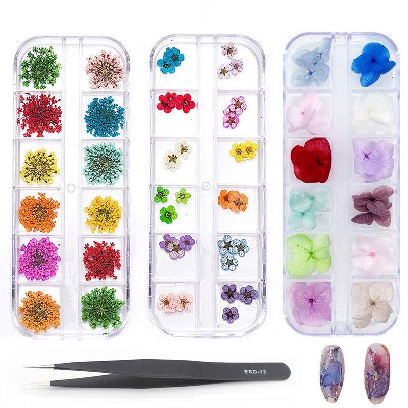 3 Boxes Dried Flowers for Nail Art Designs 36 Starry Plus & Eternal Flower and Five Flower Three-Dimensional Applique 3D Natural Real Dry Flowers for Tips Manicure Wraps Design Decoration Supplies Kit - BeesActive Australia