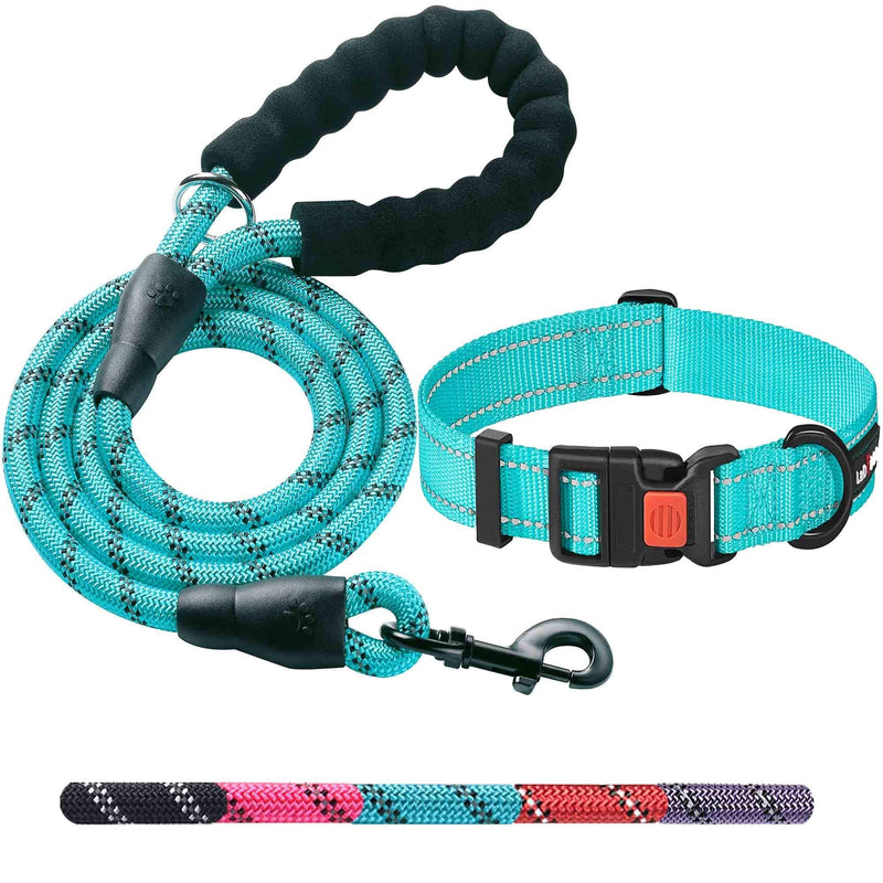 Ladoogo Heavy Duty Dog Leash - Comfortable Padded Handle, 5 ft Long - Dog Leashes for Small Medium Large Dogs Small (Pack of 1) Blue Leash+Collar - BeesActive Australia